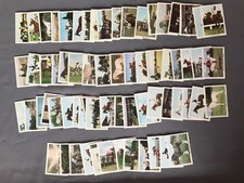 Anglo American Chewing Gum Set