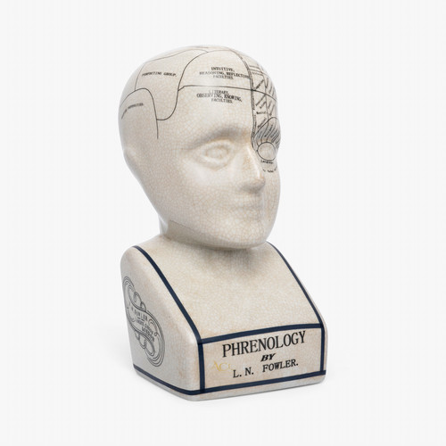 Ceramic phrenology head - ceramic,