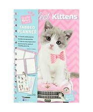 Perfect Kittens 2019 17 Month