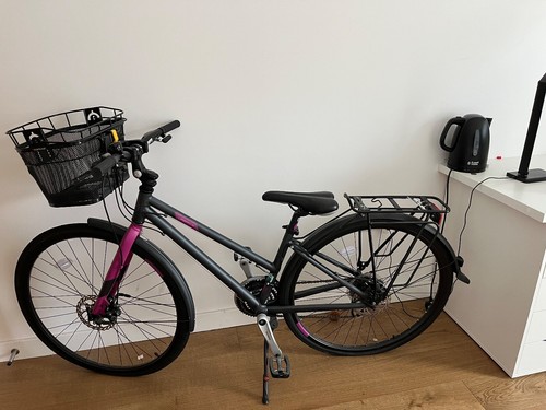 Evans cycle viking - evans,