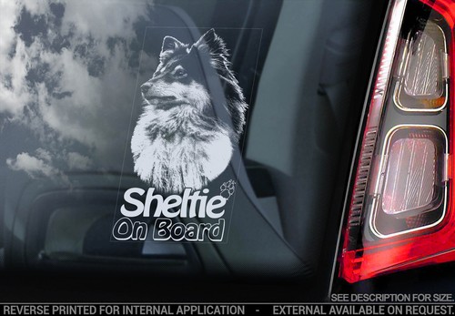 Sheltie car window - -, sticker