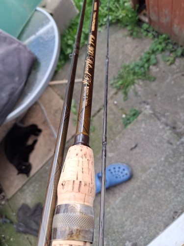 Shimano twin power 12ft - shimano,