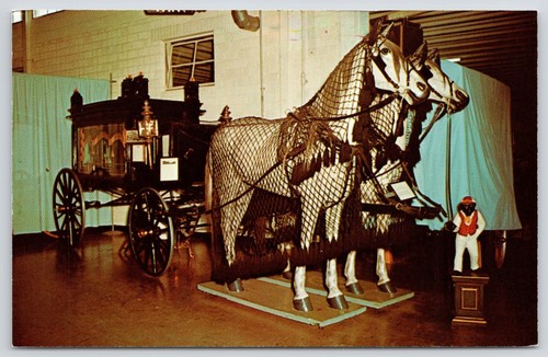 Postcard horse drawn hearse - horse,