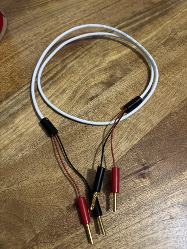 Chord company leyline - company, x