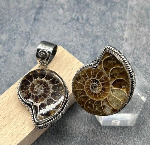 Joy 925 silver ammonite - silver,