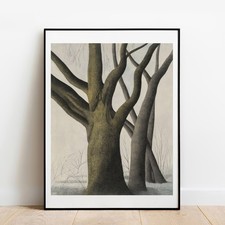Art print Spilliaert Big Tree