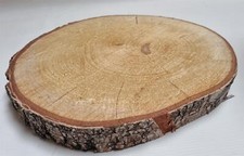 Large Wooden Log Slice Tree