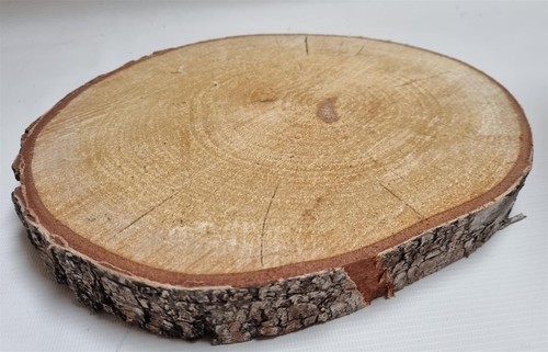 Large wooden log slice - large,