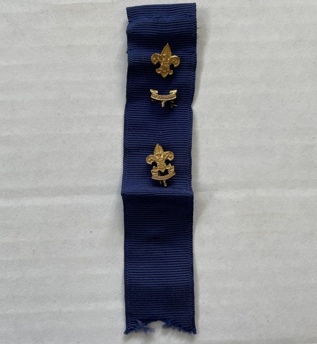 Bsa boy scouts america cub - bsa,