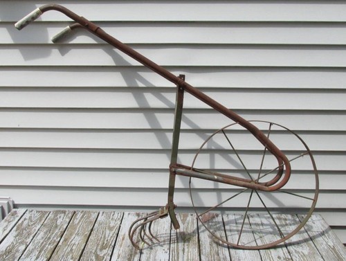 Vintage rare missouri mule - rare,
