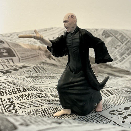 Lord voldemort harry potter - lord,