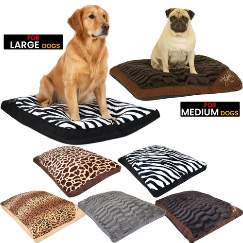 Large extra fur - large, dog