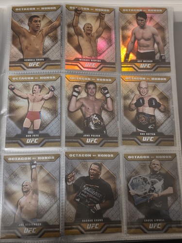 Ufc 2010 octagon - ufc, honour