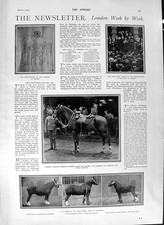 Old Antique Print 1901 General Gordon Horses Webb Wood White Hart Collins 20th