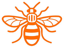 Bumble Bee - Car Bike Scooter