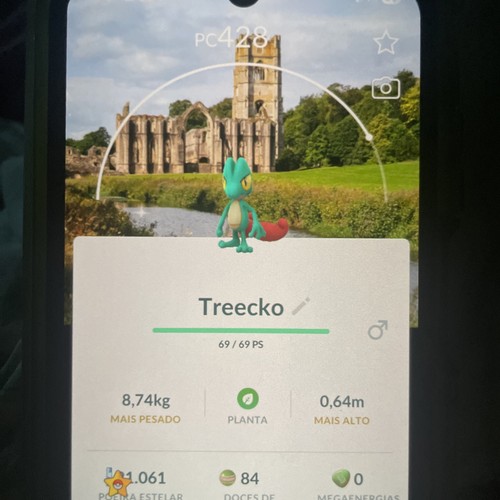 Shiny treecko bg fountains - shiny,