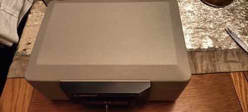 Sentry fire safe 1100 - sentry,