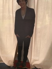 Harry Styles Life-Size