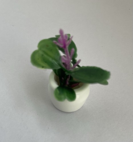 Miniature plants for dolls - miniature,