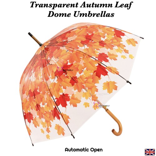 Ladies clear dome umbrella - dome,