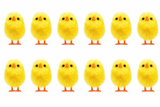 8 - 160 Mini Yellow Chicks