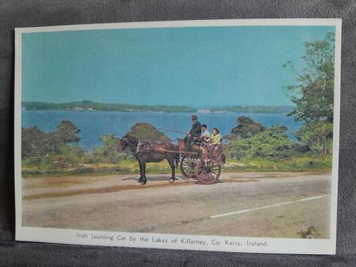 Irish jaunting car killarney - jaunting,