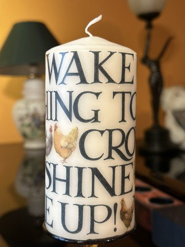 Emma bridgewater hen - hen, toast