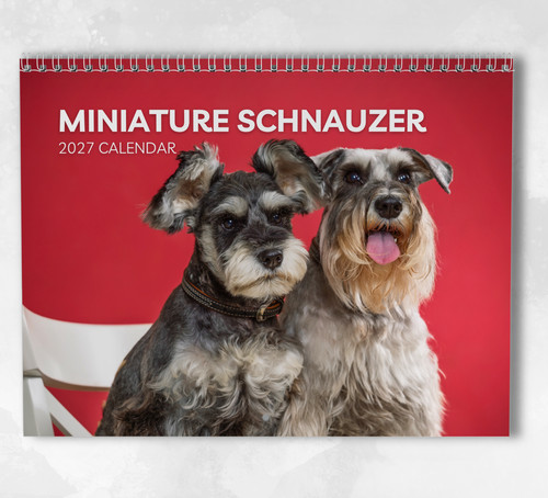 Miniature schnauzer calendar - miniature,