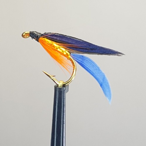 Kingfisher butcher wet - 3,