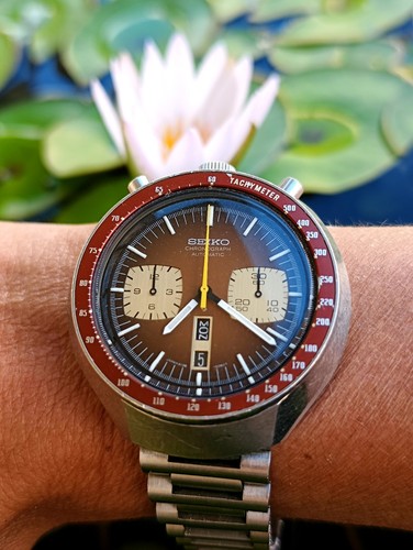 Vintage seiko bullhead - seiko,