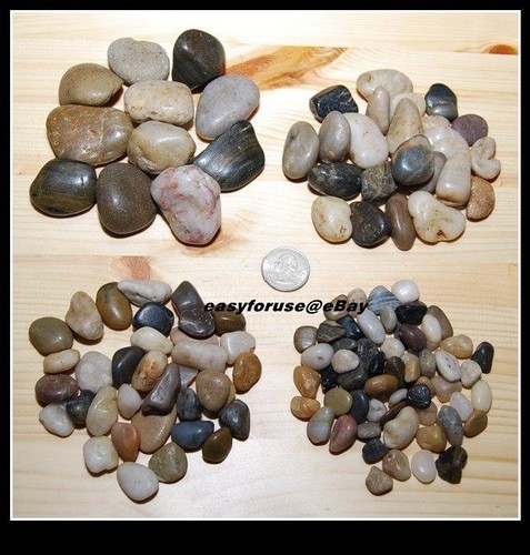 Decorative natural mixed - decorative,