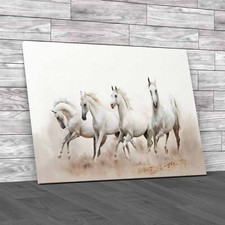 Arabian Horses Galloping In