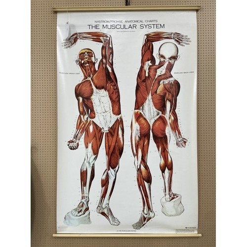 Vintage nystrom frohse - us,