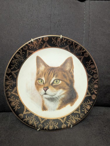 Liverpool road pottery - pottery, tabby