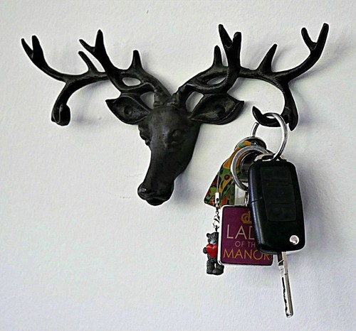 Stag head hook - hook, key