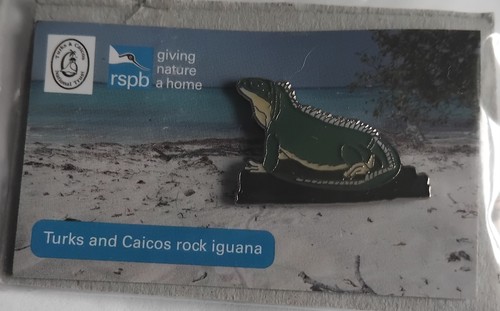 Rspb pin badge - rspb, and