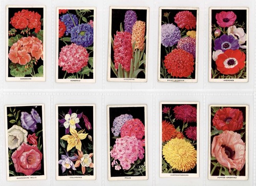 Carreras flowers 1936 - carreras,