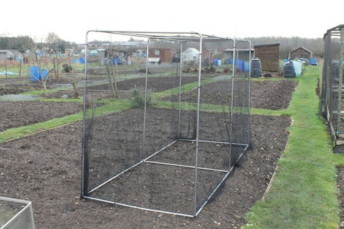 Walk domed cage for fruit - cage,