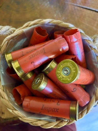 Spent shotgun cartridge - shotgun,