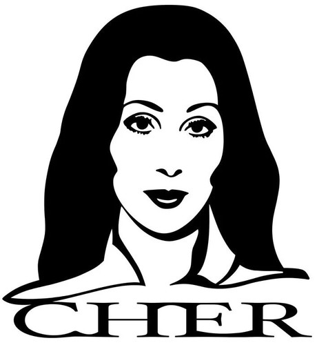 Cher vinyl sticker car - cher,