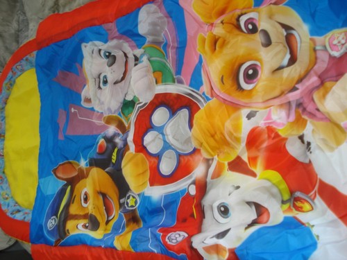Paw patrol ready - paw,