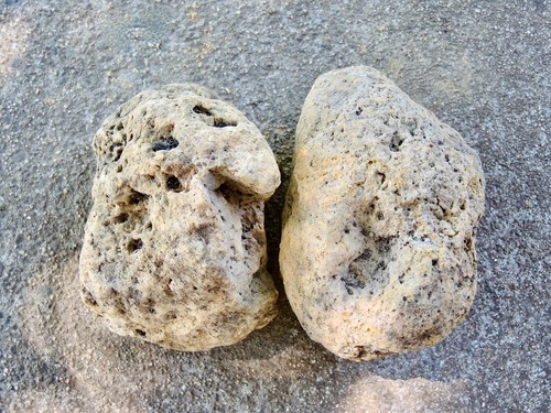 Lot small medium pumice - of,