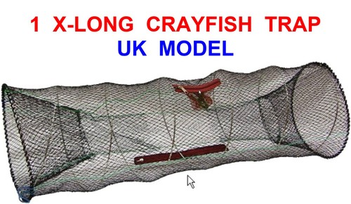 Legal king size crayfish - legal,