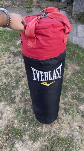 Everlast hanging punch - hanging, bag