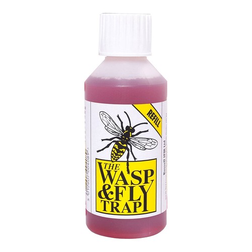 Wasp fly bait attractant - wasp,