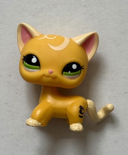 Littlest pet shop shorthair - pet,
