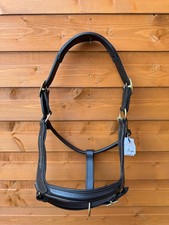 Brown Anatomical Leather Horse