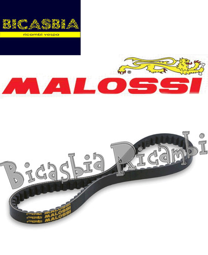 11045 variator belt malossi - variator,