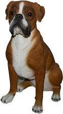 Real life boxer dog garden - real,
