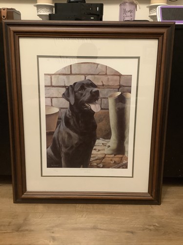 Rare signed limited edition - limited,